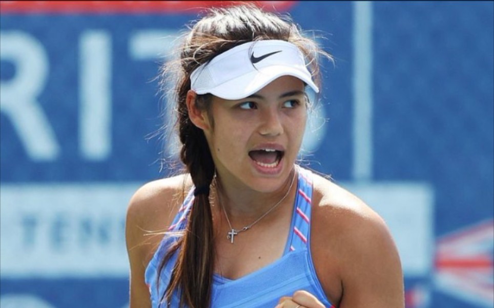 全面开花 全面开花